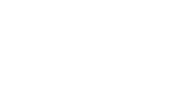 MdG-Consulting-&-Training-logo-bianco