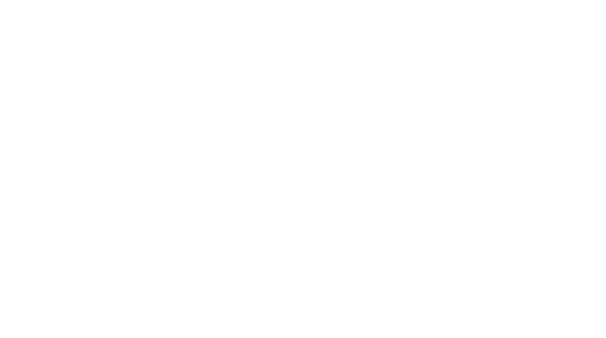 MdG-Consulting-&-Training-logo-bianco